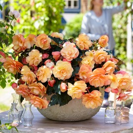 Цветущие искусственные растения