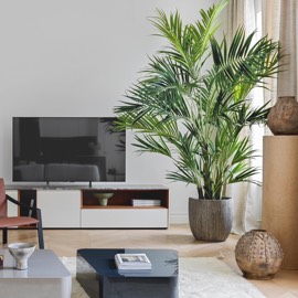 Искусственные пальмы